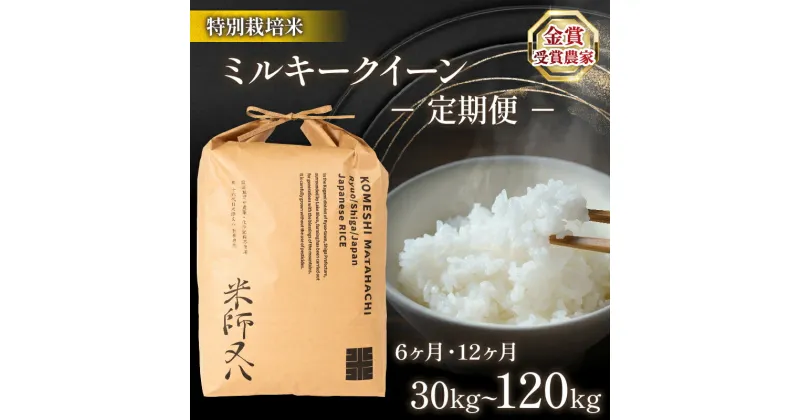 【ふるさと納税】 令和6年産 新米 定期便 ミルキークイーン 選べる 【 容量 】 【 回数 】 5kg 10kg 6回 12回 (6ヶ月 12ヶ月 30kg 60kg 定期 ブランド 米 rice 精米 白米 ご飯 内祝い 十六代目米師又八 謹製 もちもち 国産 送料無料 滋賀県 竜王 ふるさと納税 )