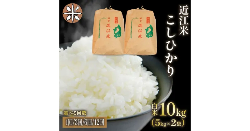 【ふるさと納税】 令和6年産 米 こしひかり 10kg 選べる 【 定期便 】 単品 3ヶ月 6ヶ月 12ヶ月 5kg × 2袋 白米 国産 農家直送 お米 こめ 産地直送 滋賀県 竜王町 送料無料 滋賀県産 竜王 ふるさと ランキング 人気 おすすめ スーパーセール お買い物マラソン