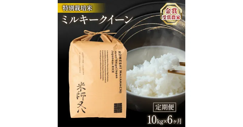 【ふるさと納税】 令和6年産 新米 定期便 ミルキークイーン 10kg × 6ヶ月 ( 十六代目米師又八 謹製 ブランド 米 rice 精米 白米 ご飯 内祝い 十六代目米師又八 謹製 もちもち 国産 送料無料 滋賀県 竜王 ふるさと納税 )