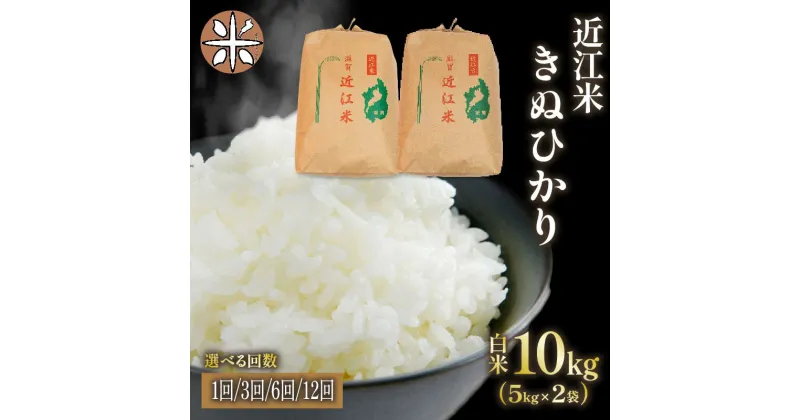 【ふるさと納税】 令和6年産 米 きぬひかり 10kg 選べる 【 定期便 】 単品 3ヶ月 6ヶ月 12ヶ月 5kg × 2袋 白米 国産 農家直送 お米 こめ 産地直送 滋賀県 竜王町 送料無料 2袋 滋賀県産 竜王 ふるさと ランキング 人気 おすすめ スーパーセール お買い物マラソン