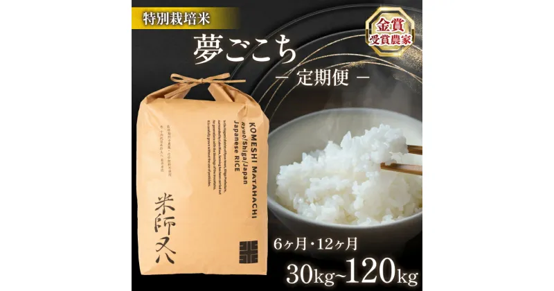 【ふるさと納税】 令和6年産 新米 夢ごこち 定期便 選べる 【 容量 】 【 回数 】 5kg 10kg 6回 12回 (6ヶ月 12ヶ月 30kg 60kg 定期 十六代目米師又八 謹製 ブランド 米 rice 精米 白米 ご飯 内祝い もちもち 国産 送料無料 滋賀県 竜王 ふるさと納税 )