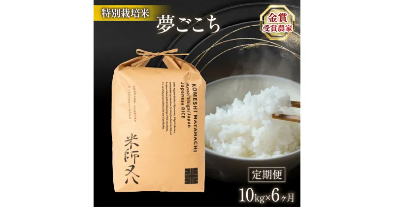 【ふるさと納税】 令和6年産 新米 夢ごこち 10kg × 6ヶ月 定期便 ( 十六代目米師又八 ブランド 米 rice 精米 白米 ご飯 内祝い 十六代目米師又八 謹製 もちもち 国産 送料無料 滋賀県 竜王 ふるさと納税 )