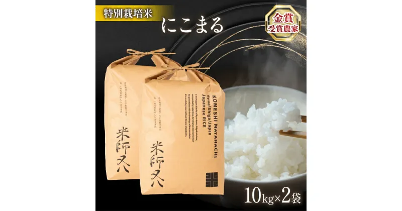 【ふるさと納税】 令和6年産 新米 にこまる 10kg×2袋 ( 計 20kg 十六代目米師又八 ブランド 米 rice 精米 白米 ご飯 内祝い もちもち 国産 送料無料 滋賀県 竜王 ふるさと納税 )