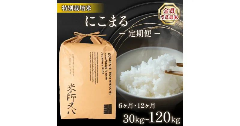 【ふるさと納税】 令和6年産 新米 にこまる 5kg 10kg 定期便 【 容量 】 【 回数 】 6回 12回 (6ヶ月 12ヶ月 30kg 60kg ブランド 米 rice 精米 白米 ご飯 内祝い もちもち 国産 送料無料 滋賀県 竜王 ふるさと納税 )