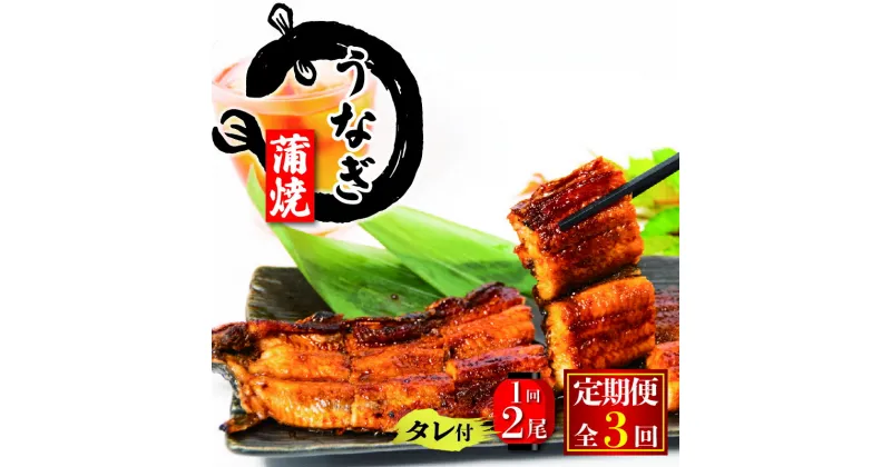 【ふるさと納税】 3回 定期便 国産 うなぎ 蒲焼 150g × 2尾 タレ付 ( 冷凍 計300g 3ヶ月 定期便 グルメ うなぎ 蒲焼き 鰻 新鮮 たれ 土曜 丑の日 真空パック おすすめ 滋賀県 竜王町 送料無料 )