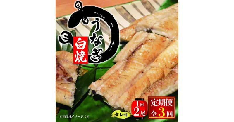 【ふるさと納税】 3回 定期便 国産 うなぎ白焼 150g × 2尾 タレ付 ( 3ヶ月 定期便 グルメ 白焼き うなぎ 計300g 鰻 新鮮 たれ 土曜 丑の日 真空パック おすすめ 滋賀県 竜王 送料無料 )