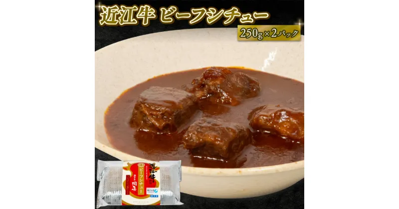 【ふるさと納税】 近江牛 ビーフシチュー 250g×2パック 和牛 黒毛和牛 高級 冷凍 牛肉 牛 ふるさと納税 ブランド おかず 三大和牛 贈り物 ギフト 国産 滋賀県 竜王町 岡喜 神戸牛 松阪牛 に並ぶ 日本三大和牛