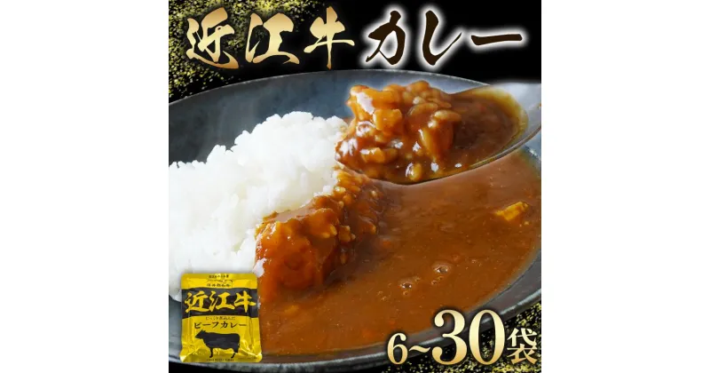 【ふるさと納税】 近江牛 レトルト カレー 160g×6～30袋 セット 【 黒毛和牛 牛肉 960g ～ 4800g 肉 ギフト 自宅用 黒毛和牛 国産 近江 三大和牛 和牛 贈り物 内祝い 神戸牛 松阪牛 に並ぶ 日本三大和牛 滋賀県 竜王町 澤井牧場 送料無料 5000円以下 お買い物マラソン 】