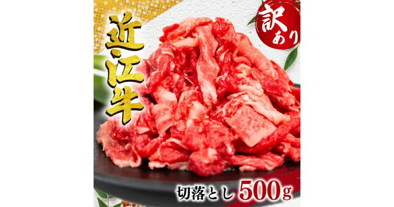 【ふるさと納税】 訳あり 近江牛 切り落とし 500g 黒毛和牛 牛肉 切落し 小間切れ こま切れ 250g×2パック 肉 ギフト 自宅用 高級 黒毛和牛 国産 ふるさと納税 ブランド牛 三大和牛 和牛 贈り物 内祝い 神戸牛 松阪牛 に並ぶ 日本三大和牛 滋賀県 竜王町 澤井牧場 送料無料