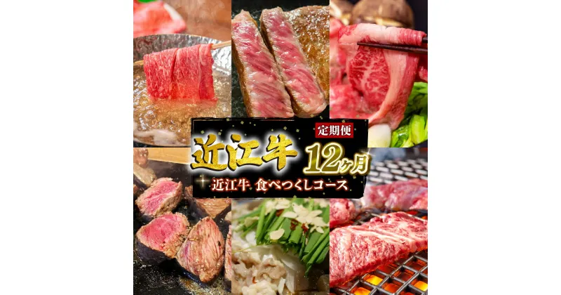 【ふるさと納税】 定期便 近江 牛 食べつくし コース 全 12回 12ヶ月 1年 黒毛和牛 牛肉 肉 すき焼き しゃぶしゃぶ 焼肉 ギフト 自宅用 高級 国産 三大和牛 和牛 神戸牛 松阪牛 に並ぶ 日本三大和牛 滋賀県 竜王町 澤井牧場 送料無料 お買い物マラソン スーパーセール