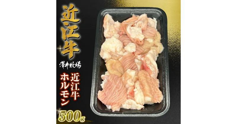 【ふるさと納税】 近江牛 澤井姫和牛 近江牛ホルモン 250g × 2 黒毛和牛 牛肉 肉 ギフト 焼肉 焼き肉 自宅用 高級 黒毛和牛 国産 ふるさと納税 ブランド牛 三大和牛 和牛 冷凍 贈り物 内祝い 神戸牛 松阪牛 に並ぶ 日本三大和牛 滋賀県 竜王町 澤井牧場