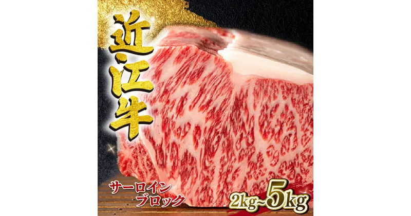 【ふるさと納税】 近江牛 サーロイン ブロック 2kg ~ 5kg A4 ~ A5 ランク 毛利志満 ( 近江牛 ブランド和牛 近江牛 牛肉 近江牛 ステーキ 国産 近江牛 人気 近江牛 神戸牛 松阪牛 に並ぶ 日本三大和牛 ふるさと納税 )