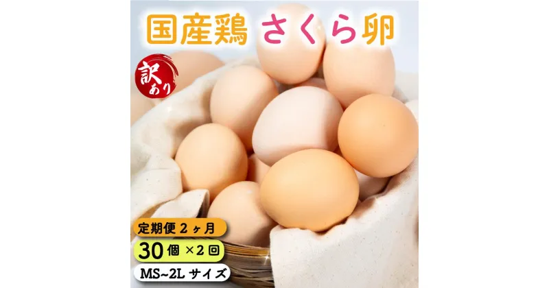 【ふるさと納税】 定期便 訳あり 卵 30個 ( たまご 25個 + 割れ補償 5個 ) 2回 2ヶ月 定期便 国産 鶏 さくら 簡易包装 コクのある 濃い 風味 とれたて 生たまご 滋賀 地産地消 の 飼料米 玉子 国産 新鮮 卵かけご飯 大容量 生 卵 鶏 天然 すき焼き 目玉 焼き 滋賀県 竜王町