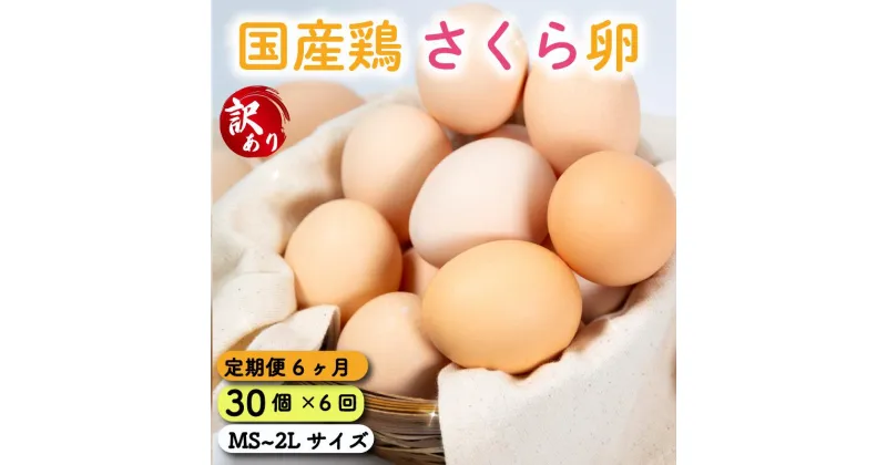 【ふるさと納税】 定期便 訳あり 卵 30個 ( たまご 25個 + 割れ補償 5個 ) 6回 6ヶ月 定期便 国産 鶏 さくら 簡易包装 コクのある 濃い 風味 とれたて 生たまご 滋賀 地産地消 の 飼料米 玉子 国産 新鮮 卵かけご飯 大容量 生 卵 鶏 天然 すき焼き 目玉 焼き 滋賀県 竜王町