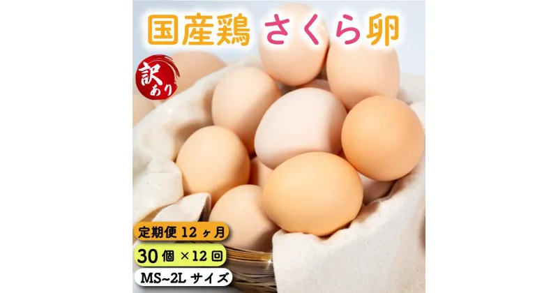 【ふるさと納税】 定期便 訳あり 卵 30個 ( たまご 25個 + 割れ補償 5個 ) 12回 12ヶ月 定期便 国産 鶏 さくら 簡易包装 コクのある 濃い 風味 とれたて 生たまご 滋賀 地産地消 の 飼料米 玉子 国産 新鮮 卵かけご飯 大容量 生 卵 鶏 天然 すき焼き 目玉 焼き 滋賀県 竜王町