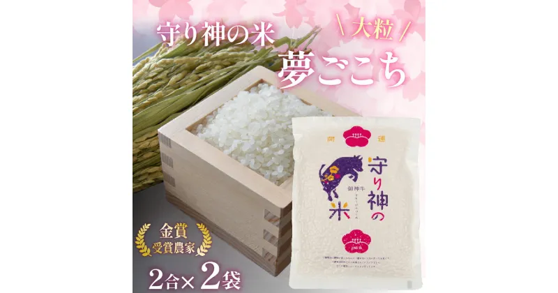 【ふるさと納税】 守り神のお米 300g×2袋入 ( 祈祷米 夢ごこち 2合 精米 米 ごはん 白米 令和5年産 白米 お米 受験 合格祈願 米 真空米 真空パック 産地直送 農家直送 環境こだわり米 送料無料 滋賀県 竜王町 ふるさと納税 )