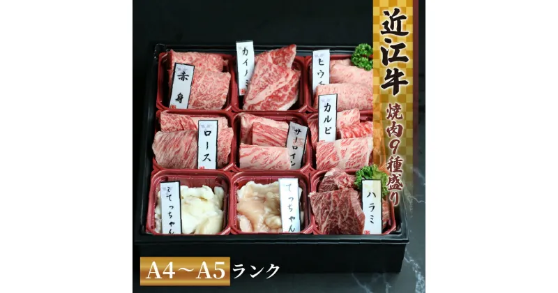 【ふるさと納税】 近江牛 焼肉 9種 盛り合わせ 360g 冷凍 ( 近江牛 カルビ ロース ハラミ サーロイン 希少部位2種 赤身 黒毛和牛 ブランド和牛 牛肉 切り落し 贈り物 ギフト 国産 滋賀県 竜王町 岡喜 霜降り 神戸牛 松阪牛 に並ぶ 日本三大和牛 父の日 )