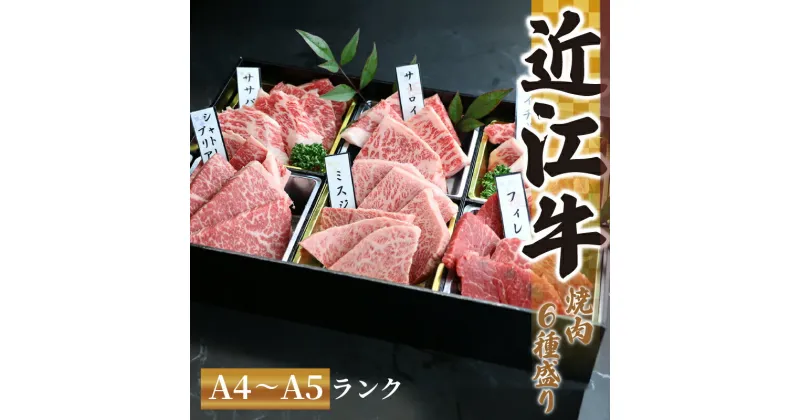 【ふるさと納税】 近江牛 焼肉 特上 盛り合わせ 480g 冷凍 シャトーブリアン ( サーロイン フィレ ヘレ 希少部位 ミスジ イチボ 赤身 和牛 黒毛和牛 ブランド 牛肉 贈り物 ギフト 国産 滋賀県 竜王町 岡喜 霜降り 神戸牛 松阪牛 に並ぶ 日本三大和牛 父の日 )