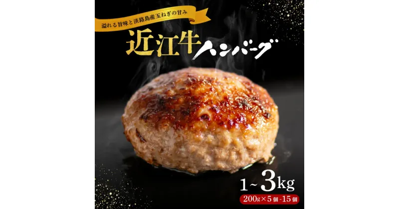 【ふるさと納税】 近江牛 ハンバーグ 淡路島 玉ねぎ入り 200g /5~15個 1kg 2kg 3kg ( 5個 10個 15個 ) 選べる 容量 個包装 肉汁 たっぷり 牛肉 合挽き ジューシー 冷凍 ギフト 黒毛和牛 キャンプ アウトドア 贈り物 好評 神戸牛 松阪牛 に並ぶ 日本三大和牛 滋賀県 竜王町