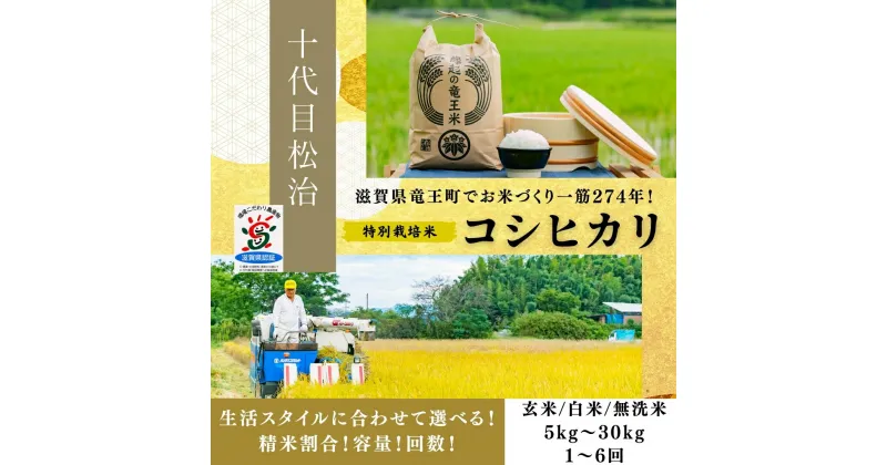 【ふるさと納税】 新米予約 令和6年産 米 こしひかり 選べる 【容量】【定期便】【精米具合】 5kg 10kg 20kg 30kg 定期便 3ヶ月 6ヶ月 1袋 2袋 3袋 白米 玄米 無洗米 特別栽培米 環境こだわり ブランド米 精米 お米 こめ おこめ 滋賀県 竜王町 )