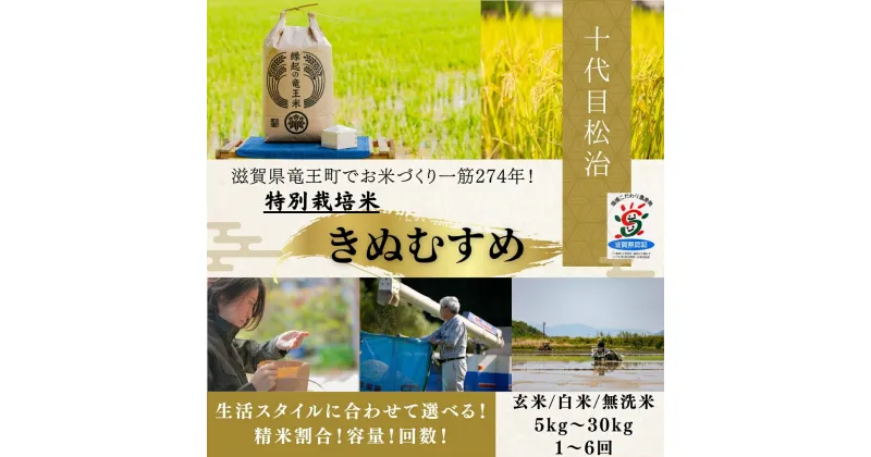 【ふるさと納税】 新米予約 令和6年産 米 きぬむすめ 選べる 【容量】【定期便】【精米具合】 5kg 10kg 20kg 30kg 定期便 3ヶ月 6ヶ月 1袋 2袋 3袋 白米 玄米 無洗米 特別栽培米 環境こだわり ブランド米 精米 お米 こめ おこめ 滋賀県 竜王町 )