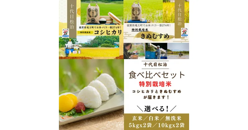 【ふるさと納税】 新米予約 令和6年産 2品種 こしひかり きぬむすめ 食べ比べ 選べる 【 容量 】【 精米具合 】 5kg 10kg 2袋 白米 玄米 無洗米 ( 米 特別栽培米 環境こだわり ブランド米 精米 お米 こめ おこめ 滋賀県 竜王町 )