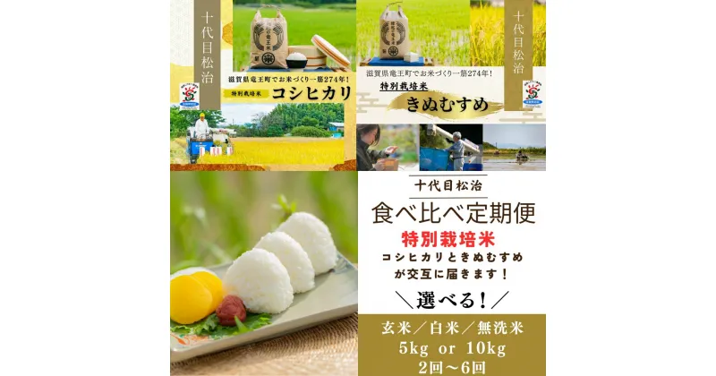 【ふるさと納税】 新米予約 令和6年産 2品種 こしひかり きぬむすめ 食べ比べ 選べる 【 定期便 】【 精米具合 】 5kg 10kg 2袋 2ヶ月 4ヶ月 6ヶ月 白米 玄米 無洗米 ( 米 特別栽培米 環境こだわり ブランド米 精米 お米 こめ おこめ 滋賀県 竜王町 )