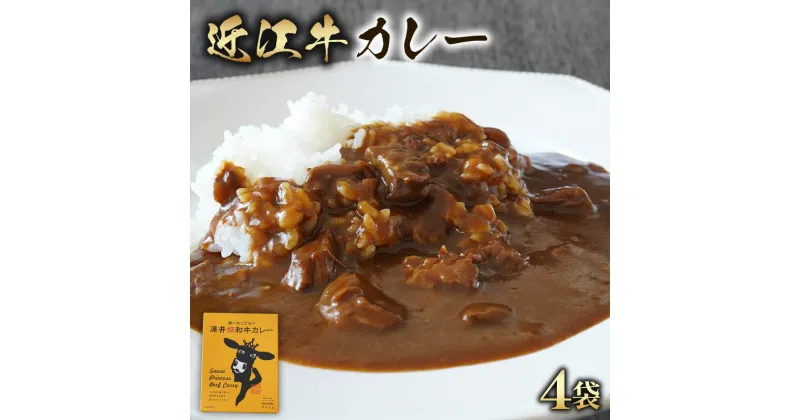 【ふるさと納税】 近江牛 カレー 200g × 4袋 セット 澤井姫和牛 【 レトルト カレー 近江牛 カレー 黒毛和牛 牛肉 800g 肉 ギフト 高級 黒毛和牛 国産 ブランド牛 三大和牛 和牛 贈り物 内祝い 神戸牛 松阪牛 に並ぶ 日本三大和牛 滋賀県 竜王町 澤井牧場 送料無料 】