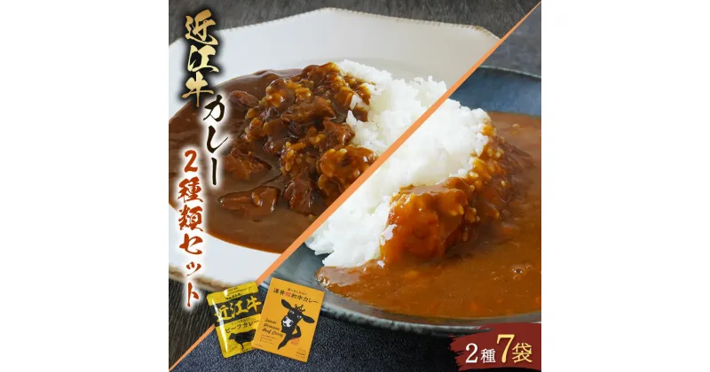 【ふるさと納税】 近江牛 カレー 2種 セット　澤井姫和牛 カレー 200g × 2袋 近江牛 カレー 160g × 5袋 セット 計 7袋 【 レトルト カレー 牛肉 1200g 肉 ギフト 高級 黒毛和牛 国産 ブランド牛 和牛 贈り物 神戸牛 松阪牛 に並ぶ 滋賀県 竜王町 澤井牧場 送料無料 】