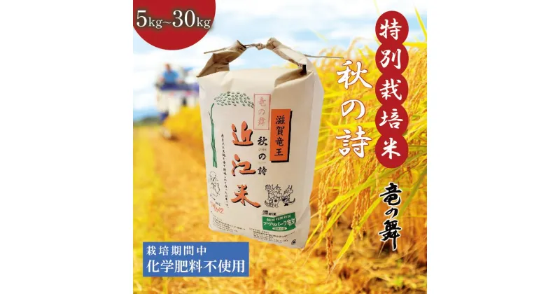 【ふるさと納税】 新米 秋の詩 白米 5kg 10kg 20kg 30kg 2024年産 竜の舞 化学肥料不使用 特別栽培米 国産 安心 安全 近江米 米 お米 白米 お弁当 玄米 産地直送 滋賀県 竜王町 送料無料