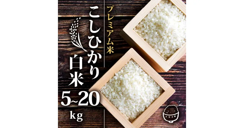 【ふるさと納税】新米 プレミアム米 こしひかり 白米 5kg 10kg 20kg 2024年産 農薬不使用 化学肥料不使用 限定 特別栽培米 竜の舞 国産 安心 安全 近江米 米 お米 白米 お弁当 玄米 産地直送 滋賀県 竜王町 送料無料 プレミアム プレミア コシヒカリ