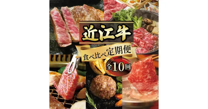 【ふるさと納税】 定期便 近江牛 食べ比べ 全10回 ( すき焼き しゃぶしゃぶ ステーキ ハンバーグ 近江牛 ブランド牛 近江牛 牛肉 贈り物 ギフト 国産 滋賀県 竜王町 赤身 霜降り 神戸牛 松阪牛 に並ぶ 日本三大和牛 ふるさと納税 )