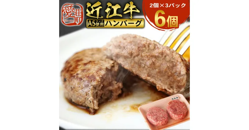 【ふるさと納税】近江牛 ハンバーグ 6個 A5 ランク 使用　フレンチレストランRuisseauシェフ監修　牛肉 和牛 黒毛和牛 国産　AI14