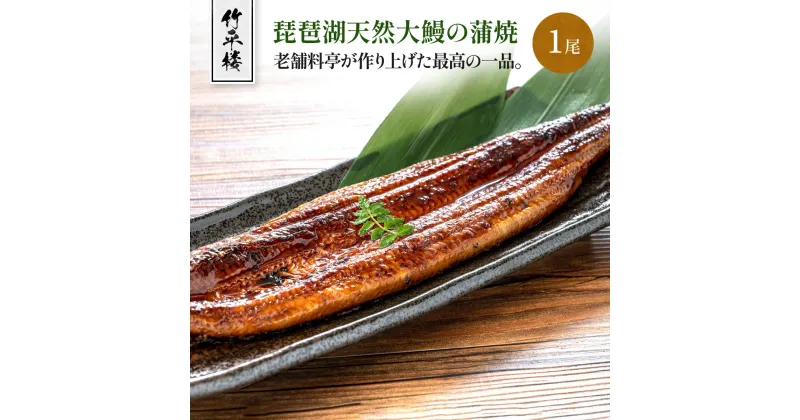 【ふるさと納税】竹平楼 琵琶湖天然大鰻の蒲焼 1尾　鰻 うなぎ 大鰻 天然 国産 蒲焼き　AM07