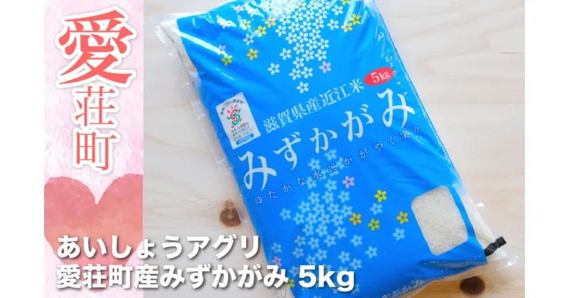 【ふるさと納税】みずかがみ 5kg 令和6年産 送料無料お米 米 精米 白米 2023年産 令和5年 安心安全 国産 おにぎり グルメ 食品 産地直送 AC03