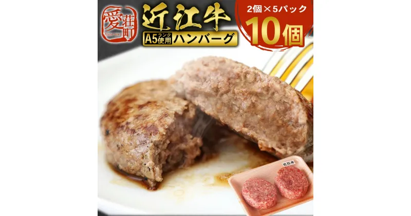 【ふるさと納税】近江牛 ハンバーグ 10個 A5 ランク 使用　 フレンチレストランRuisseauシェフ監修　牛肉 和牛 黒毛和牛 国産　AI15