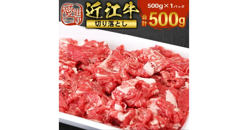 【ふるさと納税】近江牛 切り落とし 500g　牛肉 和牛 黒毛和牛 国産　AI10