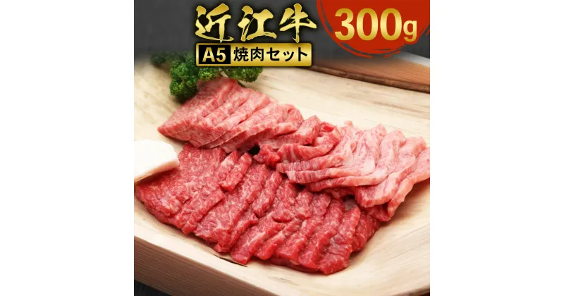 【ふるさと納税】近江牛 焼肉 セット 300g　牛肉 和牛 黒毛和牛 国産　AI28