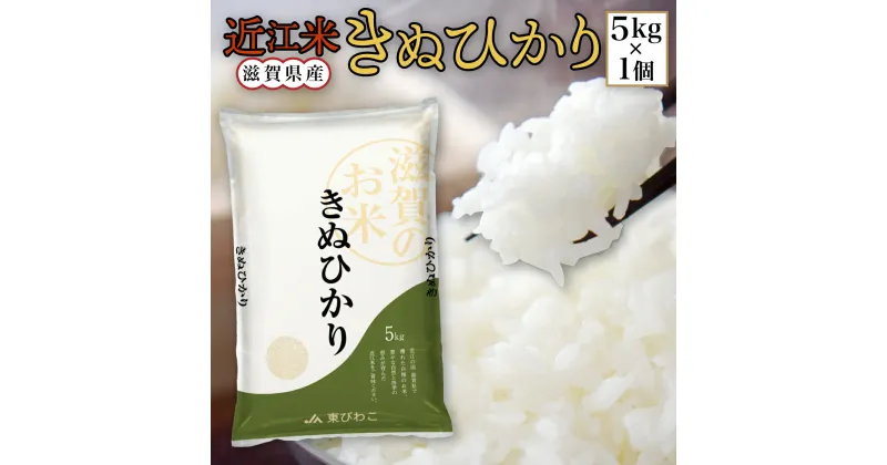 【ふるさと納税】 近江米 きぬひかり 白米5kg 令和6年産 送料無料 近江 米 BD01