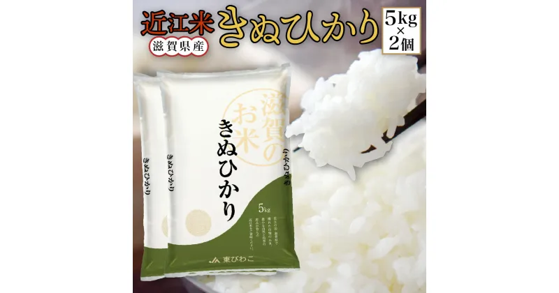 【ふるさと納税】近江米 きぬひかり 白米10kg 令和6年産 送料無料 近江 米 BD02