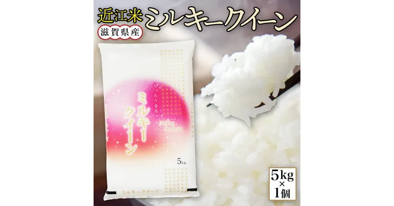 【ふるさと納税】 近江米 ミルキークイーン 白米5kg 令和6年産 送料無料 近江 米 BD03