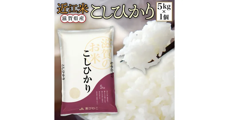 【ふるさと納税】 近江米 こしひかり 白米5kg 令和6年産 送料無料 近江 米 BD05