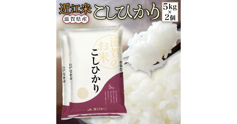 【ふるさと納税】 近江米 こしひかり 白米10kg 令和6年産 送料無料 近江 米 BD06