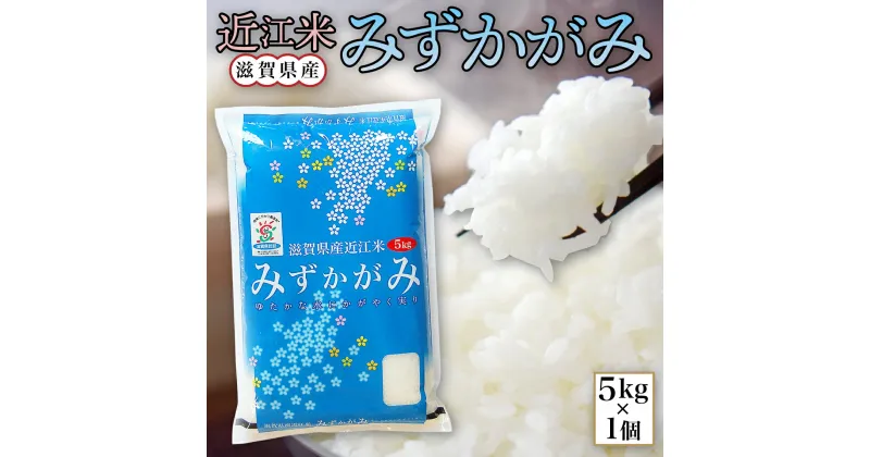 【ふるさと納税】 近江米 みずかがみ 白米5kg 令和6年産 送料無料 近江 米 BD07