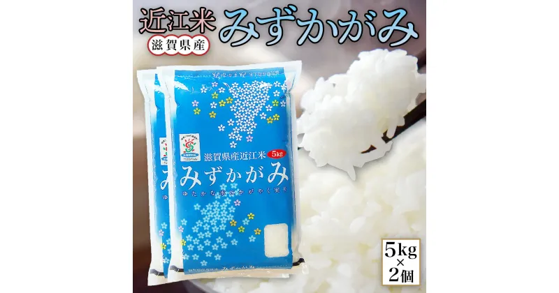 【ふるさと納税】 近江米 みずかがみ 白米10kg 令和6年産 送料無料 近江 米 BD08