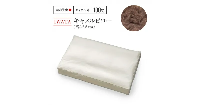 【ふるさと納税】IWATA　キャメルピロ― 高さ2.5cm AA098