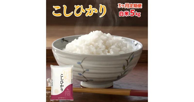 【ふるさと納税】3ヶ月定期便 近江米 こしひかり 白米5kg 送料無料 近江 米 BD15