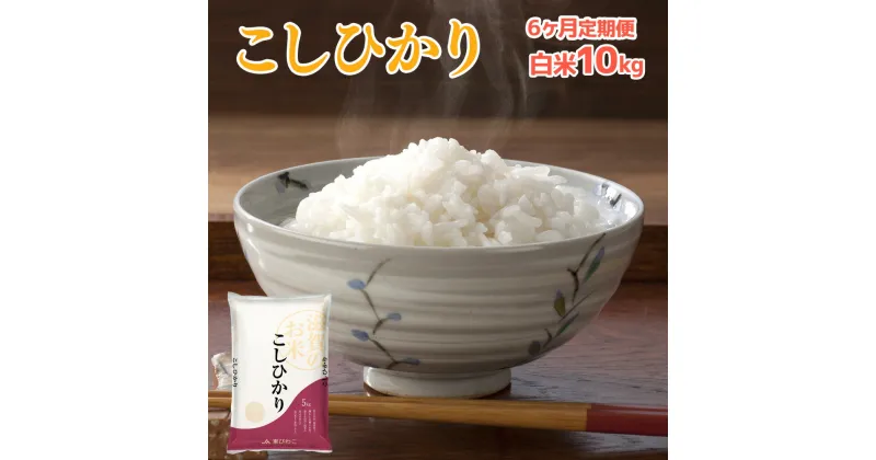 【ふるさと納税】6ヶ月定期便 近江米 こしひかり 白米10kg 送料無料 近江 米 BD19