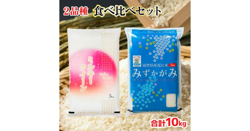 【ふるさと納税】 近江米 2品種 食べ比べセット 10kg 白米 ミルキークイーン みずかがみ 各5kg 送料無料 近江 米 BD27