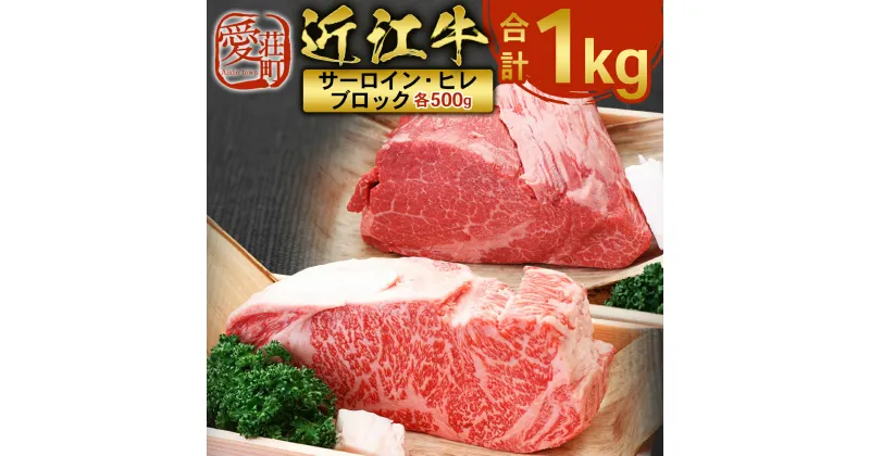 【ふるさと納税】近江牛 サーロイン ブロック ＆ ヒレ ブロック 各500g　合計1kg　牛肉 和牛 黒毛和牛 国産　AI36